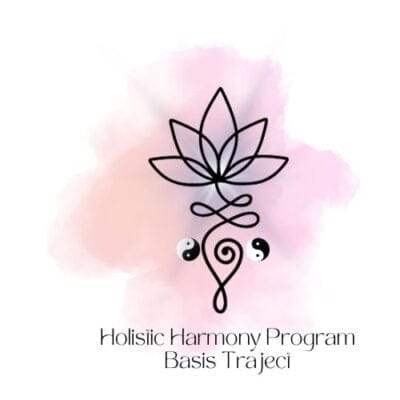 Basis traject Holistic Harmony Program